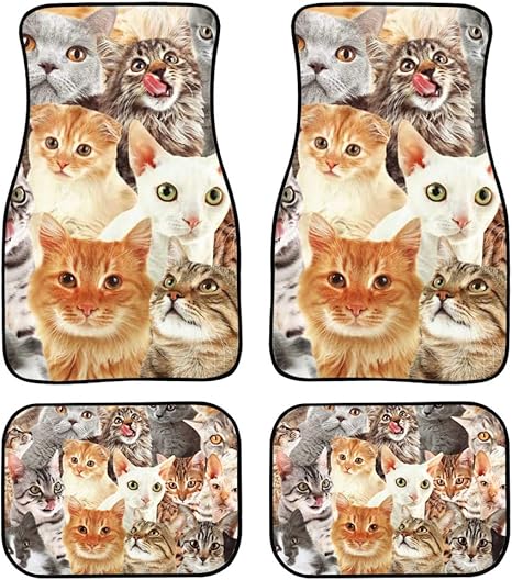 Amazon Com Showudesigns Universal Fit Carpet Floor Mats For Cars