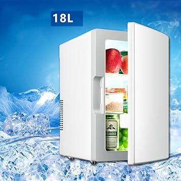 Frigorífico de Coche Mini Nevera frigorífico Portátil Mordedor de ...