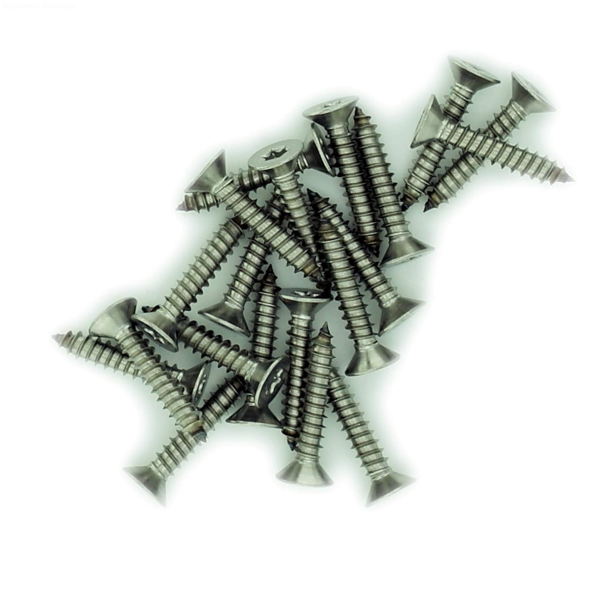 No.12 x 0.875 (5.5mm x 22mm) TX Countersunk Self-Tapping Screw - Stainless Steel (A2) (Pack of 20) — image 1
