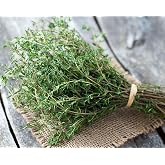 SeedsUP - 500+ Seeds Thyme - Herb Green