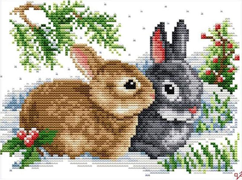 YANCONGLIDEYAN Cross Stitch Kit 11CT Stamped Beginners Pre-Printed Rabbits