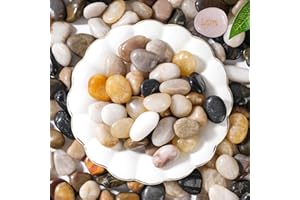 SIDONG 5 LB Mixed River Rocks, 0.3-0.5 Inches High Polished Pebbles for Indoor Plants, Aquarium Rocks Used in Fish Tank, Decorative Stones for Plants, Vases, Home Décor, Crafting, Garden Landscaping