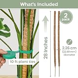 K-Brands Moss Pole 2 Pack 71 cm Bendable Plant Support for Monstera view 2