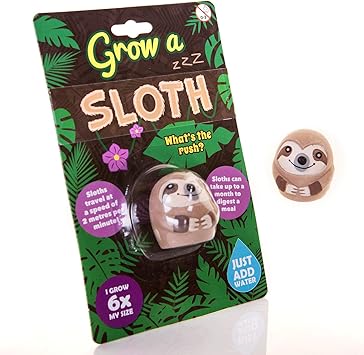 Boxer Gifts Bb5224 Sloth Grow Your Own Wachsendes Faultier Spielzeug Das Bei Wasser Grosser Wird Amazon De Spielzeug
