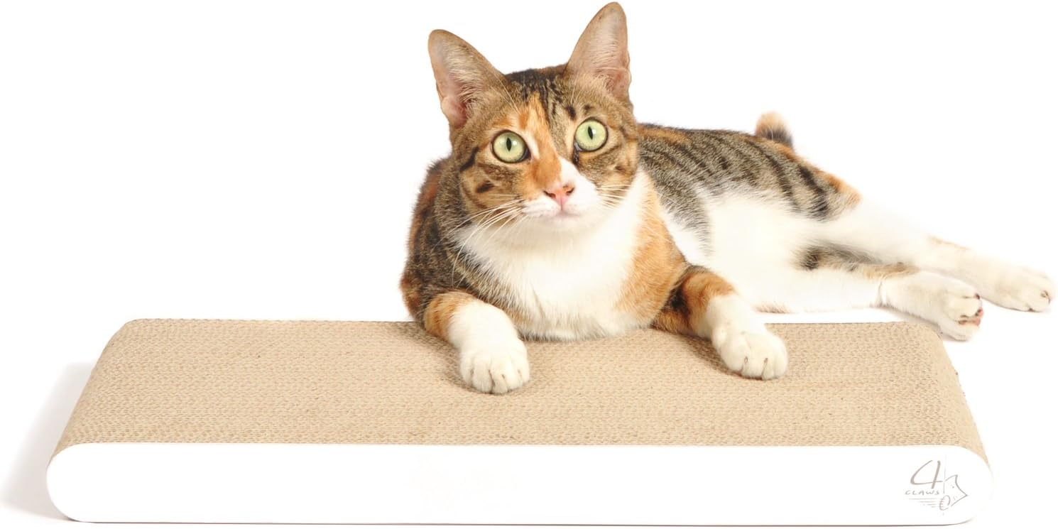 flat cat scratcher