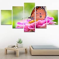 SIGNWIN 5 Panel Canvas Wall Art Modern Art Bee Butterfly Colorful Contemporary Insects Multicolor Photography for Home Decorations Ready to Hang - 60