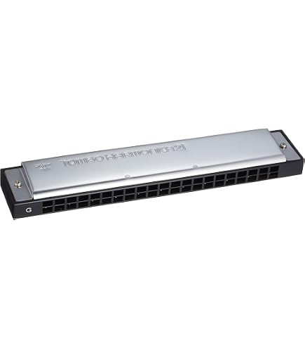 Amazon.com: Tombo 797460 Tremelo Harmonica 21 C Major : Everything