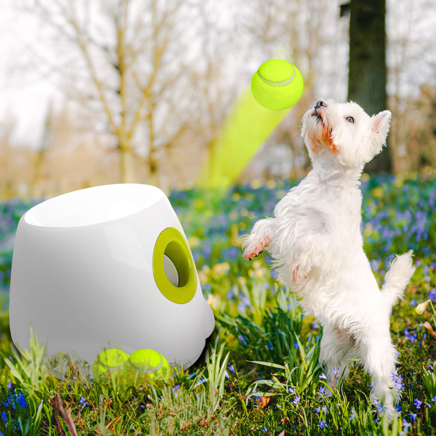 Mua ALL FOR PAWS Automatic Ball Launcher, Dog Ball Interactive Ball