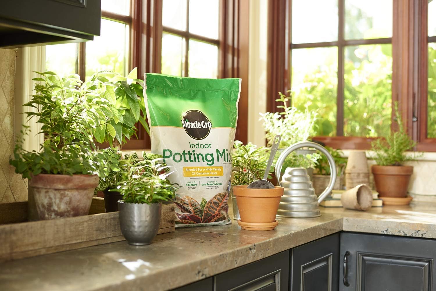 Miracle-Gro VB300517 Indoor Potting Mix, 6 Qt, 2 Pack : Garden & Outdoor
