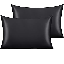 NTBAY 2 Pack Satin Queen Pillowcases for Hair and