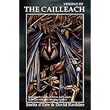 Visions of the Cailleach: Exploring the Myths, Folklore and Legends of the pre-eminent Celtic Hag Goddess