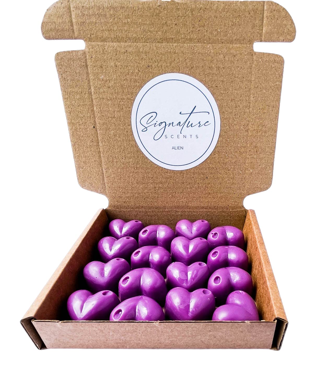 Signature Scents Highly Fragranced Soy Wax Melts (Alien Inspired)