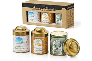 VORTIXX 3-Pack Aromatherapy Candle Set - Balsam & Cedar, Sage & Citrus, Coconut & Beach Scented Candles | 4.5oz × 3 (13.5oz Total) | 75+ Hour Total Burn | Natural Soy Candles for Home, Gifts & Christmas