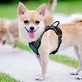 rabbitgoo Dog Harness Small Adjustable No Pull Reflective Easy Control Handle view 9