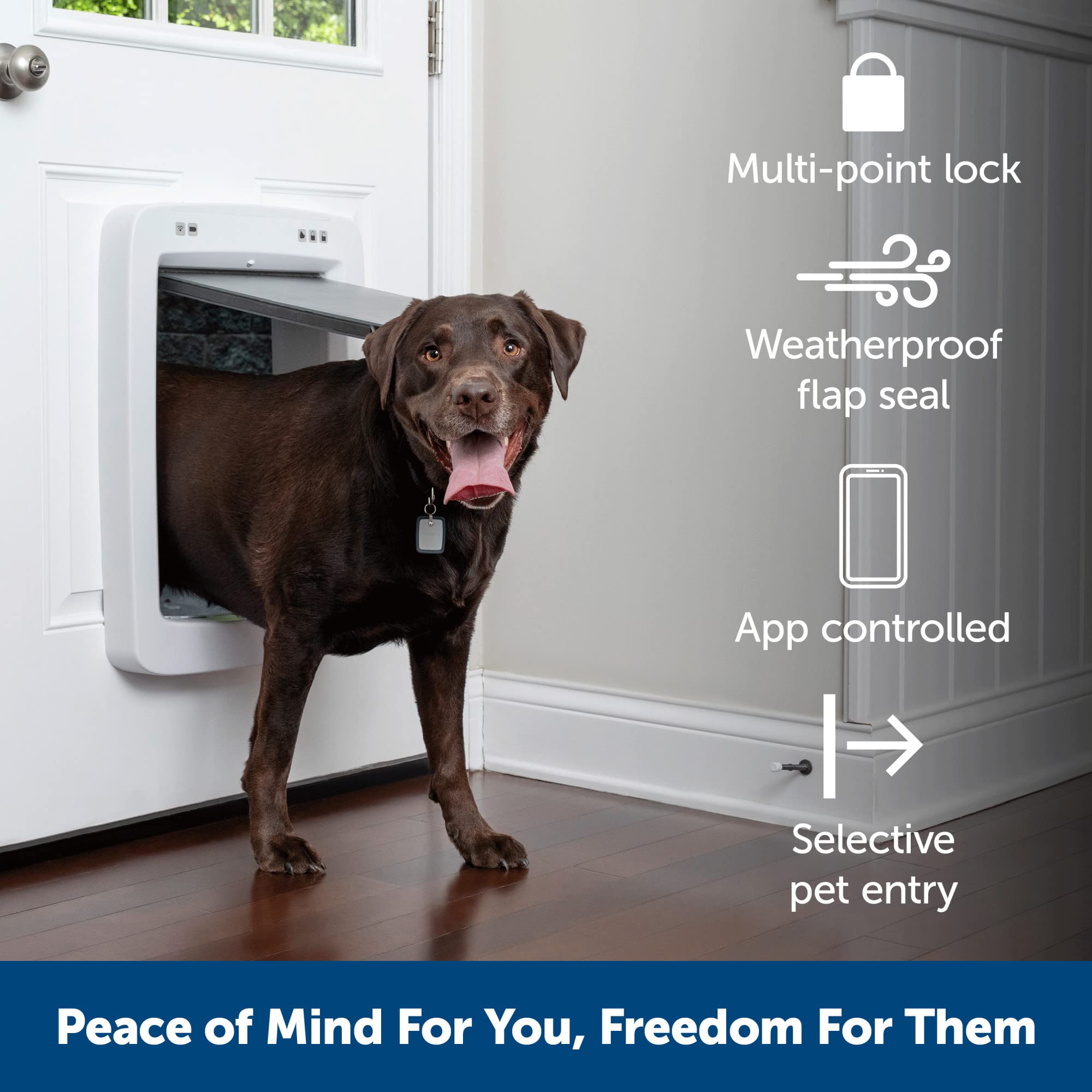 PetSafe SmartDoor Connected Pet Door for Cats and Dogs Tunnel Extension for Thick Doors and Walls, Large, ZAC19-17243