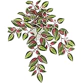 Briful Small Faux Plants Indoor Artificial Potted Silk Plants Fake Watermelon Peperomia Trailing Vine Plant for Home Office Bathroom Table Shelf Mantle Modern Decoration(Red Green- 1 Pack)