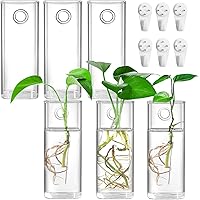 Fasmov 6 Pack Wall Hanging Glass Planters, Terrarium Holders for Air Plants, Succulents, Flowers - Square, Clear Vase Contain