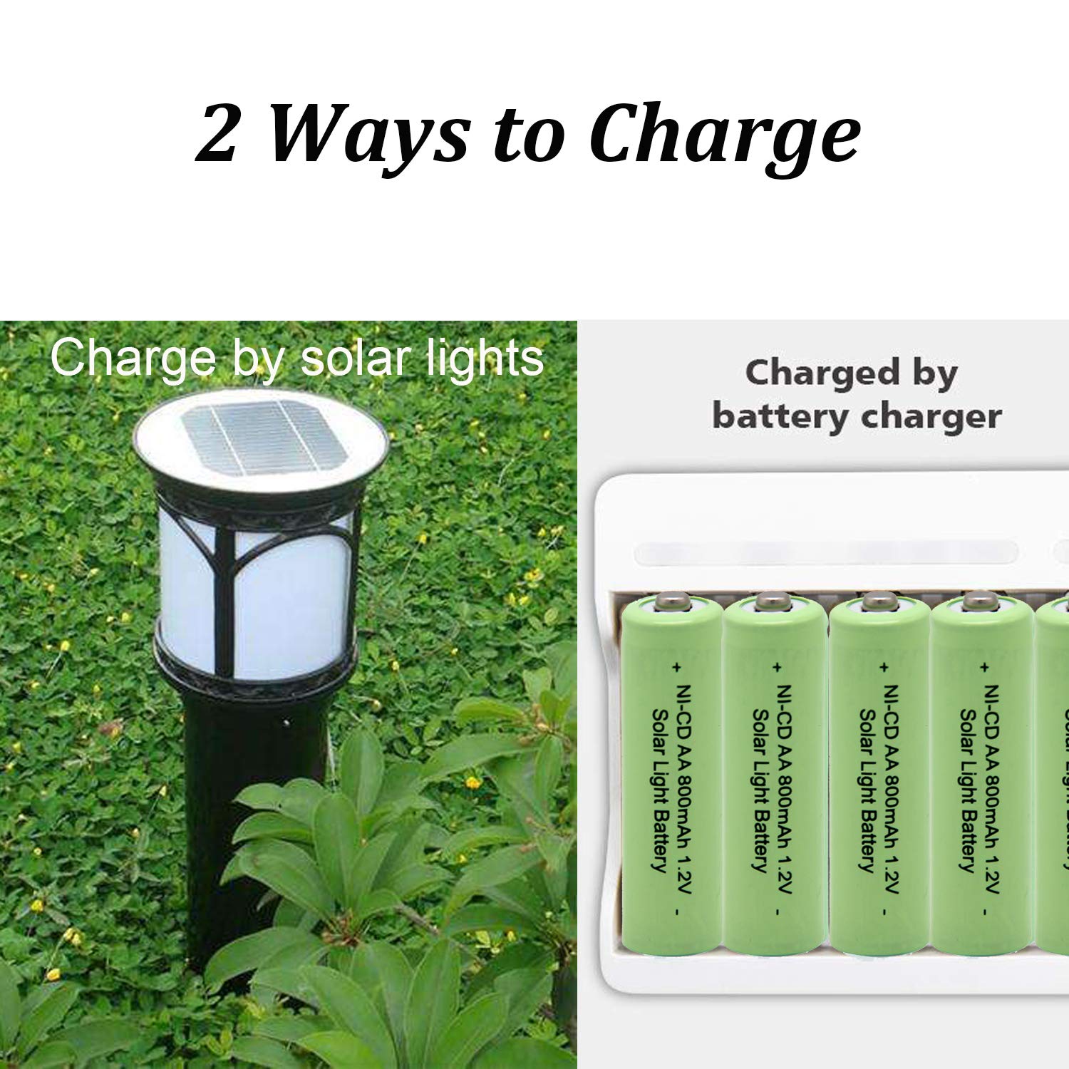 QBLPOWER 1.2V AA Ni-cd 800mAh Solar Light Rechargeable Batteries Cell for Garden/Lawn/Sidewalk Lamp (12PCS AA800mAh)
