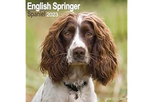 English Springer Spaniel Calendar - Dog Breed Calendars - 2022 - 2023 wall calendars - 16 Month by Avonside