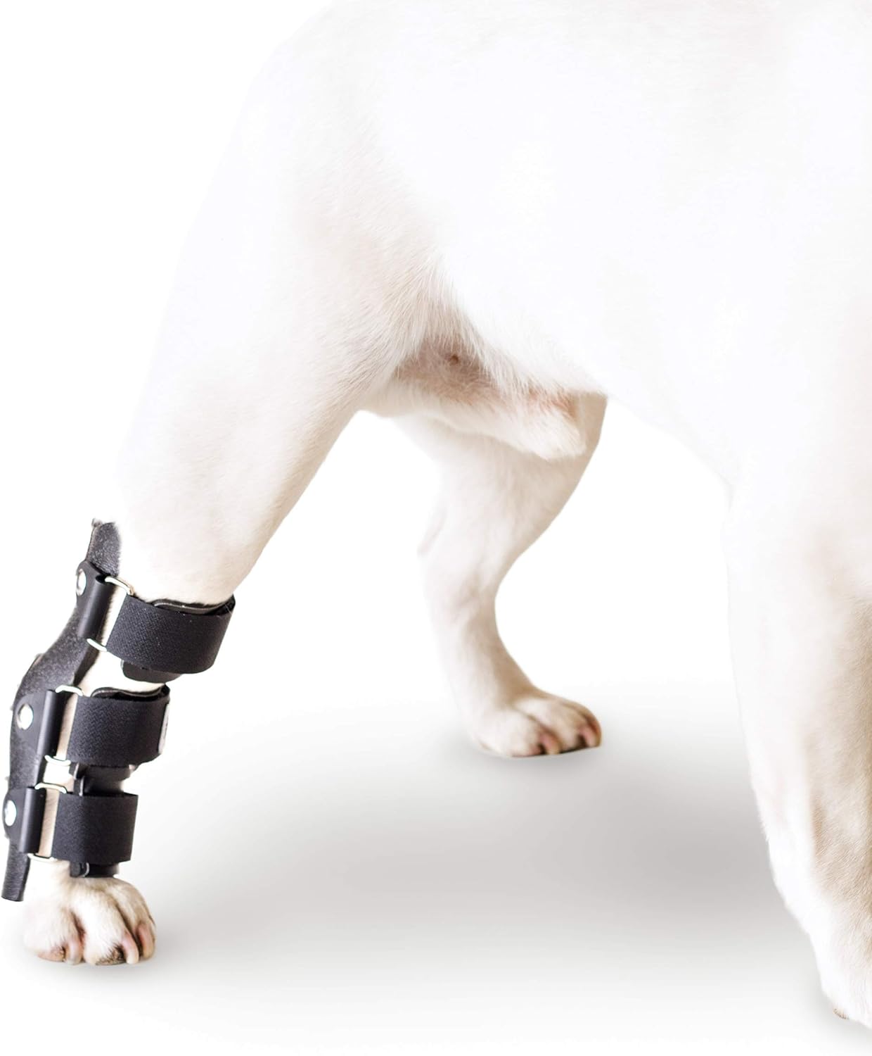 walkin pet splint for dogs