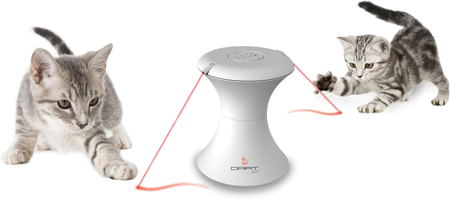 petsafe dart laser toy