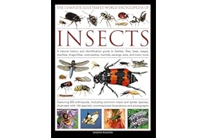 The Complete Illustrated World Encyclopedia of Insects: A Natural History And Identification Guide To Beetles, Flies, Bees, W