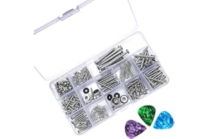 Amadget 256 Pieces Electric Guitar Screw Kit Assortment Box for Electric Guitar Bridge, Pickup, Pickguard, Tuner, Switch, Neck Plate, with Springs, 3 Pcs Random Color Picks (9 Types, Chrome)