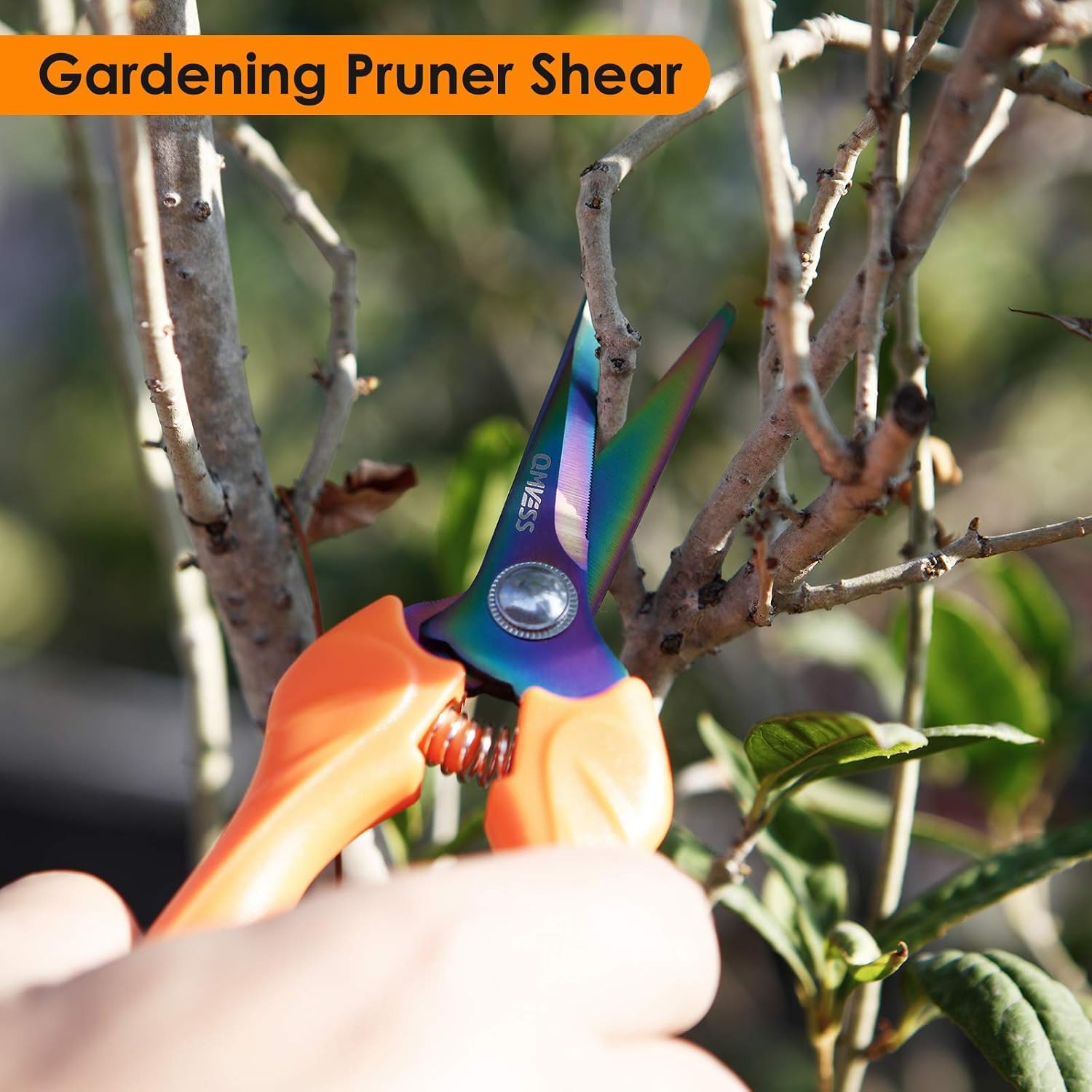 QMVESS Garden Shears 3 Pcs Hand Pruning Snips with Titanium Plated Stainless Steel Blades Precise Cuts Gardening Pruner Scissors for Plants, Grape Picking ，Small Garden Pots, Roses, Berries : Garden & Outdoor