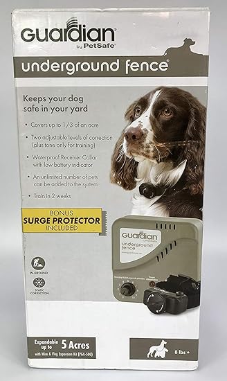 tibetan spaniel near me