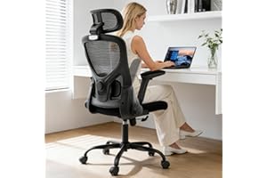 Office Chair,Ergonomic Office Desk Chair with 2D Adjustable Lumbar Support,3D Headrest,2D Arms,330LBS High Back Mesh Computer