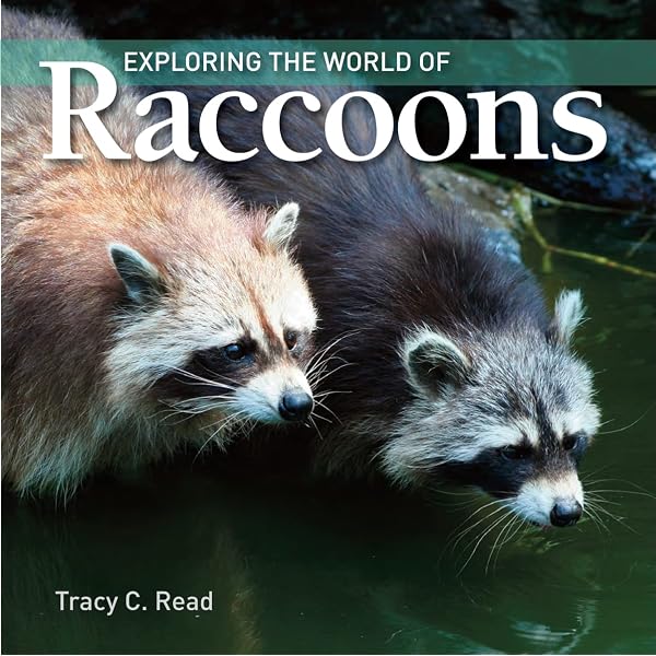 Raccoons: A Natural History: Zeveloff, Samuel I., Dewitte