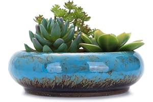 VanEnjoy 7.3 inch Round Large Shallow Succulent Ceramic Glazed Planter Pots with Drainage Hole, Bonsai Pots Garden Decorative Cactus Stand Flower Container (blue)