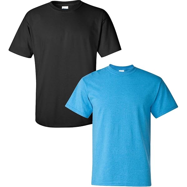 Gildan Ultra Cotton T-Shirt 2-Pack - Style G2000, XX-Large
