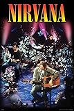 BUY ART FOR LESS Officially Licensed Nirvana