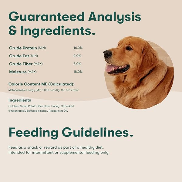 JINX DENTAL CHEWS FOR MEDIUM DOGS, ALL NATURAL, DEEP-GROOVED FOR TEETH CLEANING & TARTAR CONTROL, PEPPERMINT OIL FOR FRESH BREATH, 8.8OZ, 5 PACK