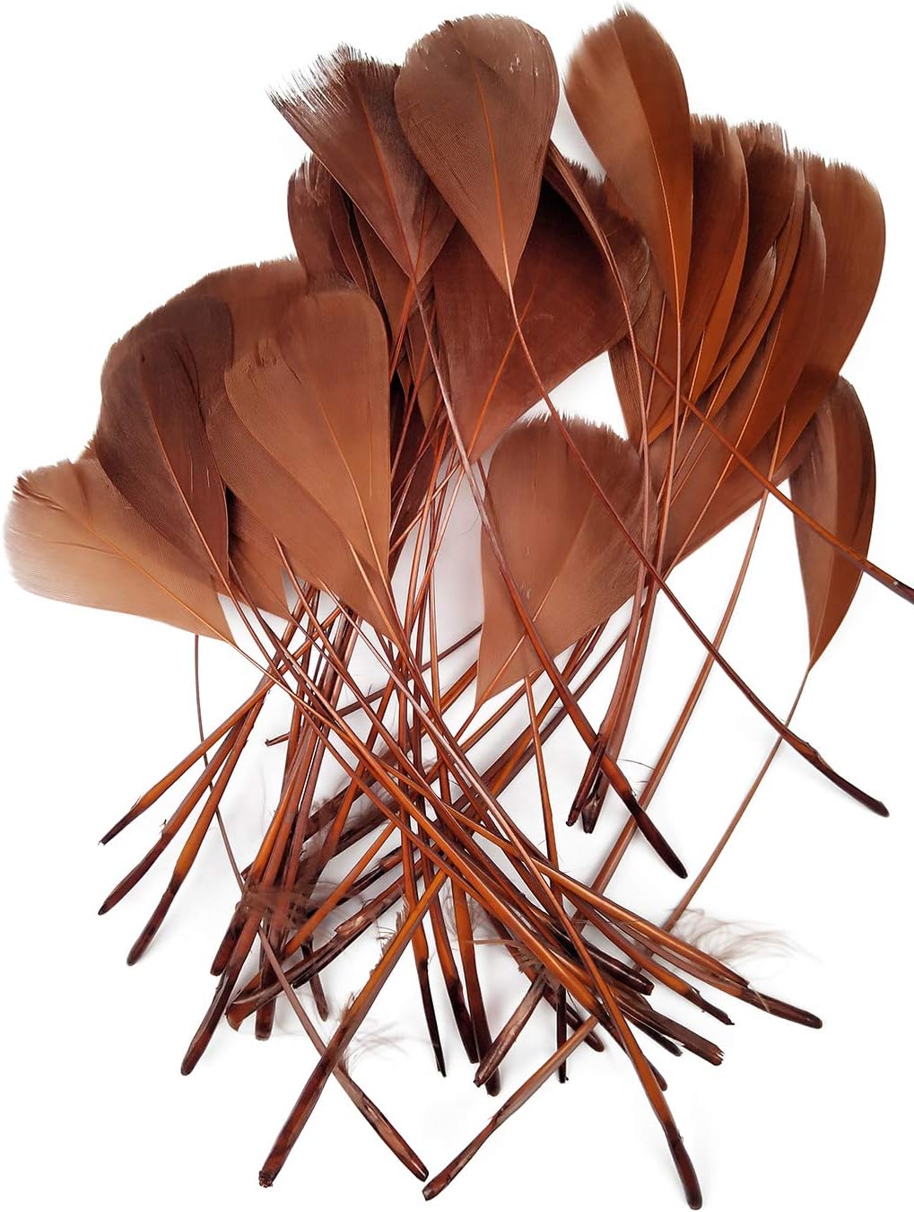 wanjin Goose Feather Craft 5-7inchs Plume for Wedding Centerpieces Home Decoration Feathers Pack of 40(Brown)