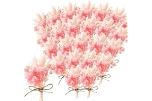FABBAY 24 Pack Mini Dried Flower Bouquet 6.3'' Pink Sage White Wheat Dried Flowers for Vase DIY Craft Photo Props Card Decor Bohemian Wedding Dried Flowers with Stems Embossing Dried Flower Plant Stem Bunch