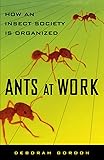Ants At Work: How An Insect Society Is Organized