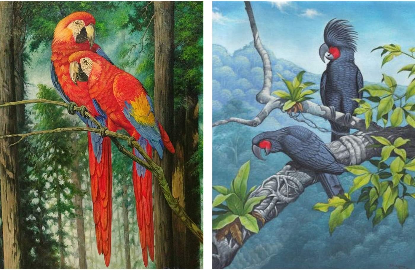 Amazon.com: Reofrey 2 Pack 5D Diamond Painting Kit Colorful Red-Faced