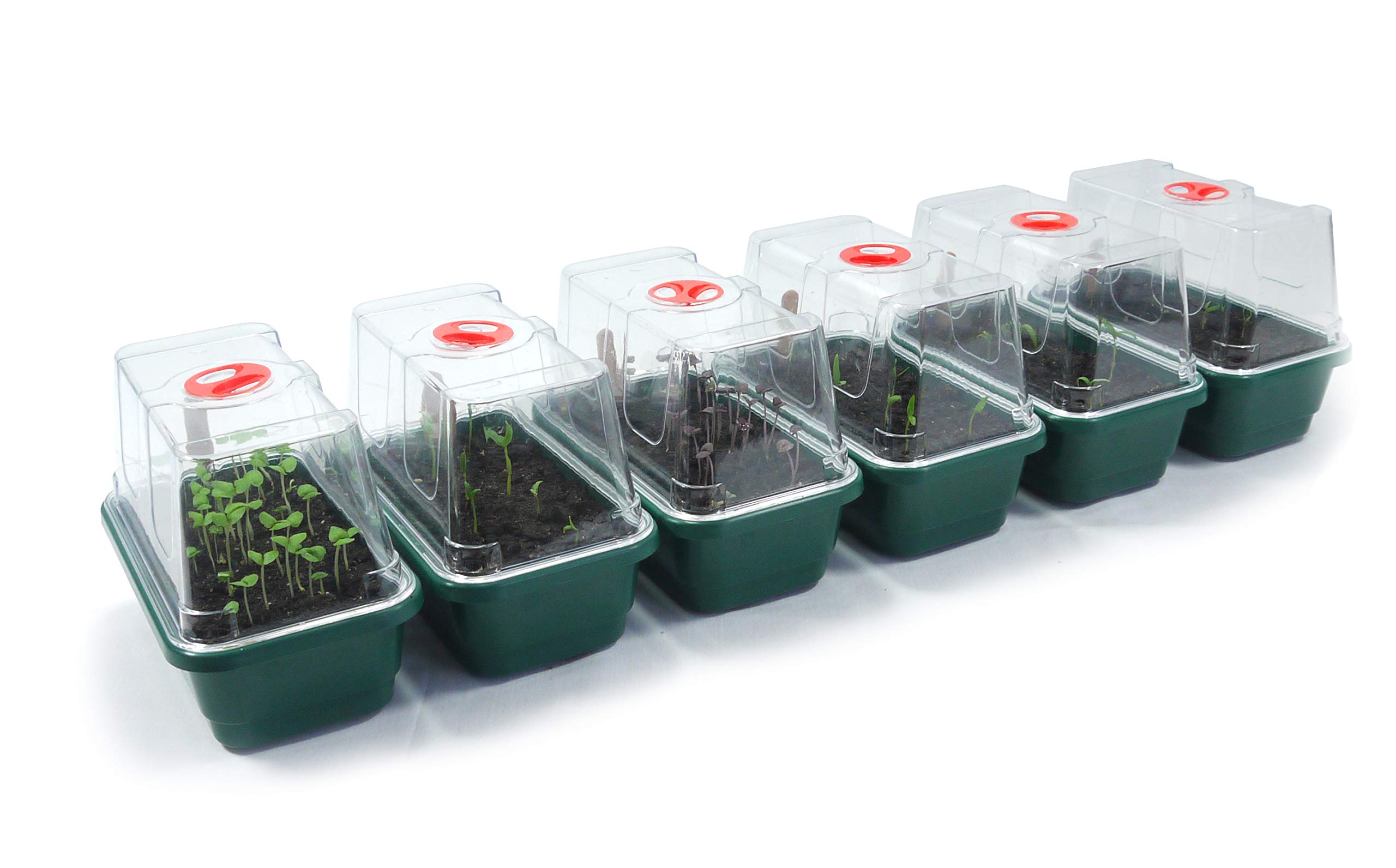 Britten & James Professional Mini Windowsill Propagators [Pack of 6]