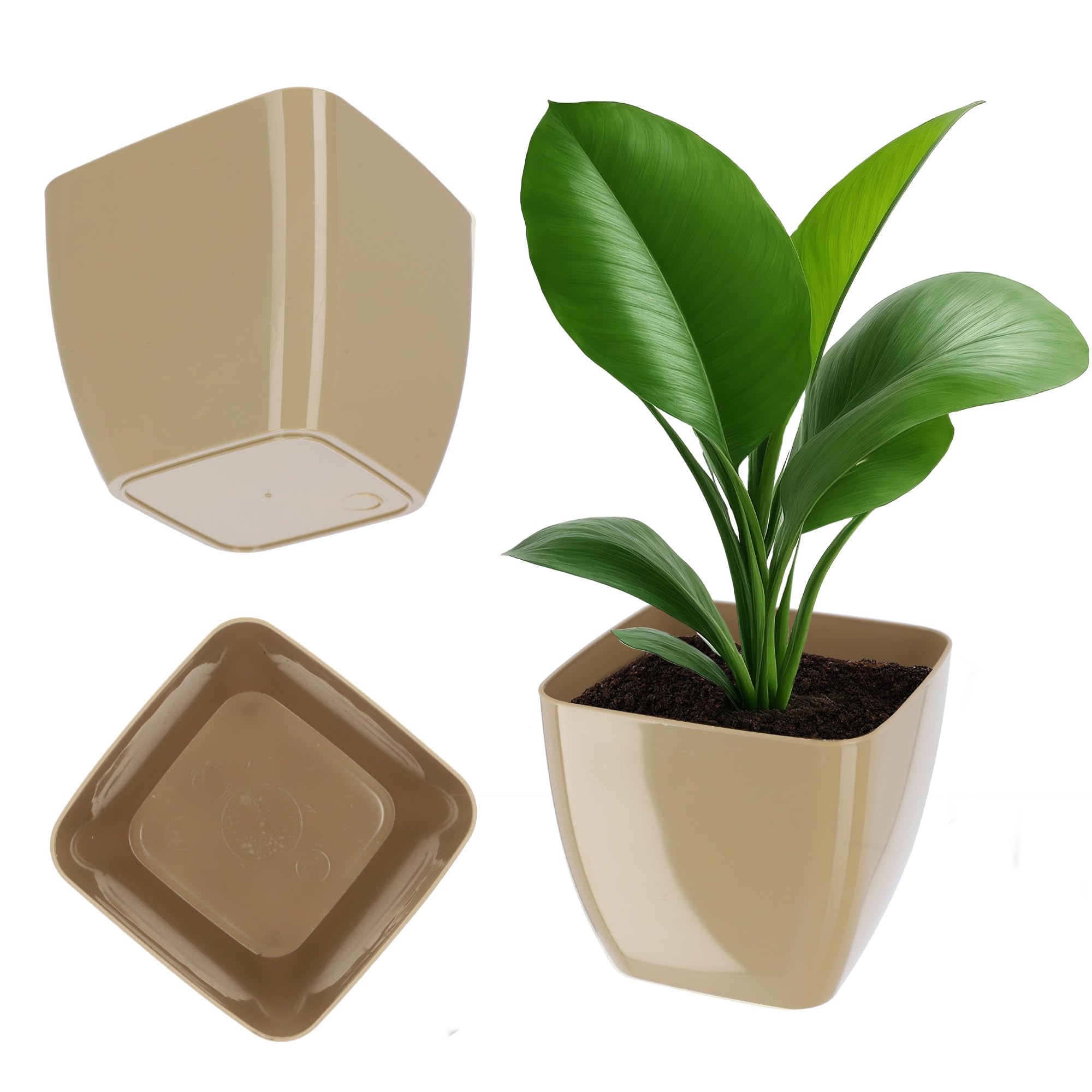 KADAX Square Plant Pot, Plastic Flowerpot with Glossy Surface for Houseplants, Elegant Planter for Indoor and Outdoor Windowsill (16 cm, Beige)