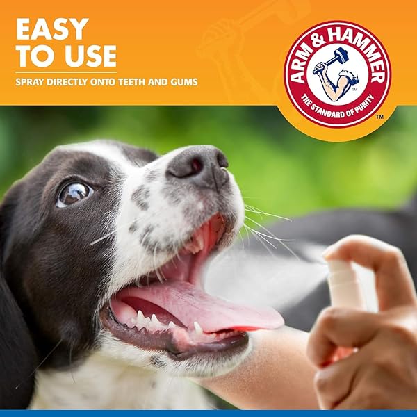 ARM & HAMMER TARTAR CONTROL DENTAL SPRAY FOR DOGS, MINT FLAVOR BREATH FRESHENER, BRUSHLESS TEETH CLEANING ORAL CARE WITH BAKING SODA, HELPS REDUCE PLAQUE AND TARTAR BUILDUP, 4 FL OZ – 2 PACK