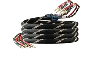 YYTCG 9 AWG 2Pack Audiophile Speaker Cable – Speaker Wire with Banana Plugs,4N OFC Core,Nylon Braid,Audio Wire,Compatible with Amplifier,Speakers,AV Receiver& Home Theater(9.84ft/3m)