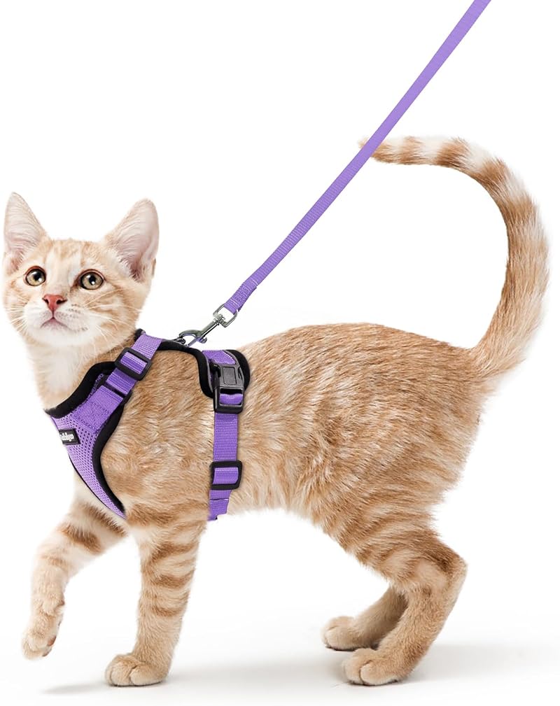 rabbitgoo Cat Harness and Lead Set XS Adjustable Escape Proof Purple