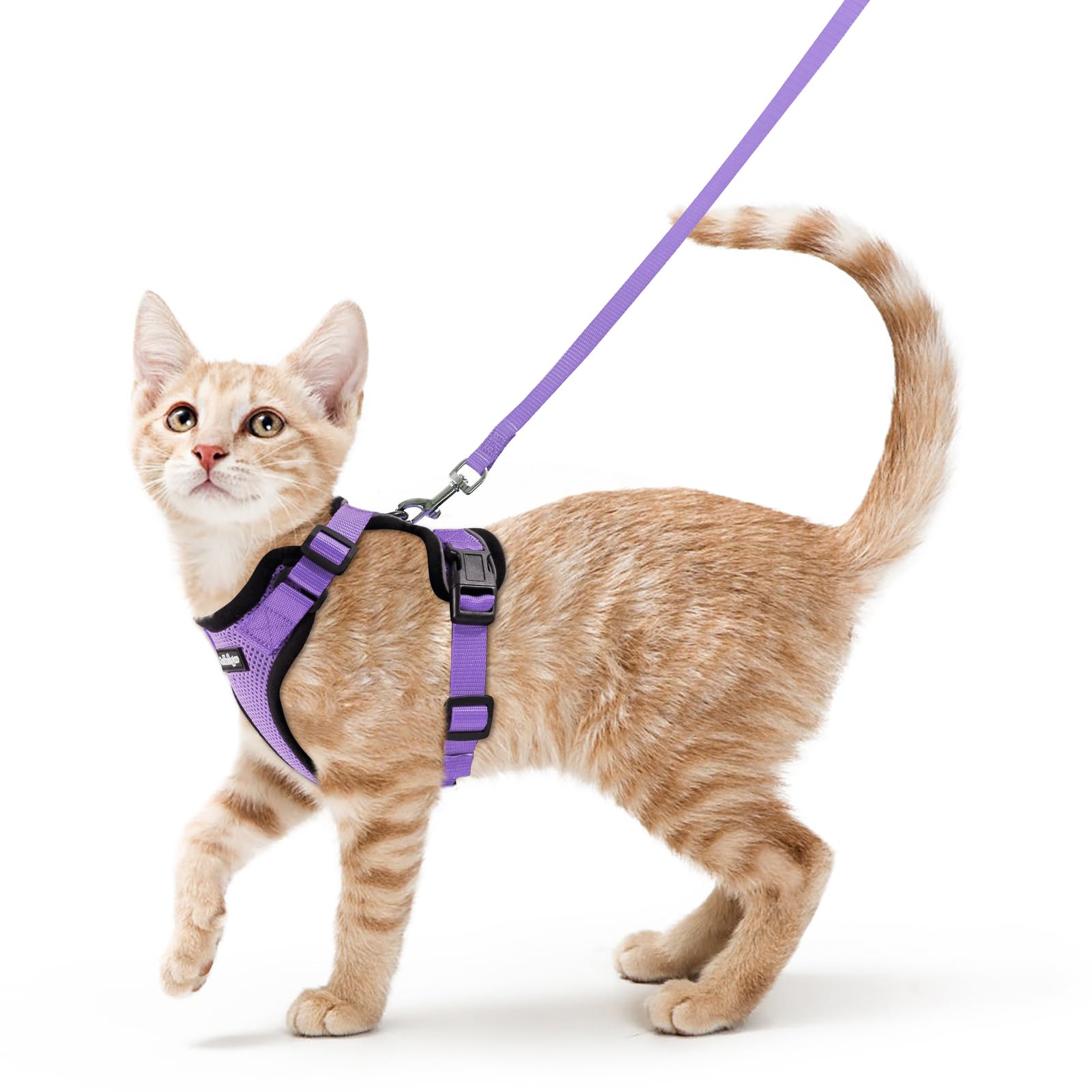 rabbitgoo Cat Harness and Lead Set, Adjustable Escape Proof Cat Lead for Walking, Reflective Kitten Harness Set, Soft and Comfortable for Small Cats, Light Purple, XS
