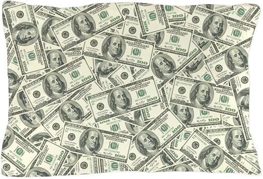 Amazon Com Cafepress 100 Dollar Bill Money Pattern Standard Size