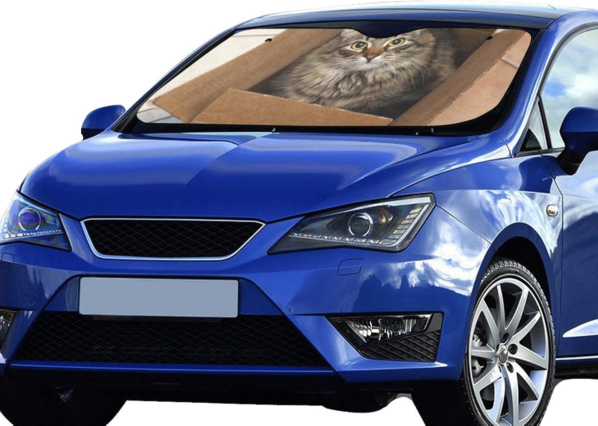 Cardboard windshield sun shade