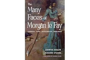 The Many Faces of Morgan le Fay: Goddess, Faery, Shapeshifter, Sorceress