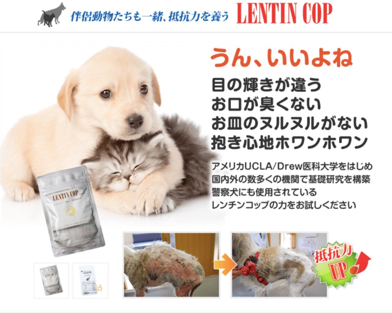 ペット M 犬 老化 B07dfn413n 猫 ２袋 サポート ペットのサプリ免疫 レンチンコップ M がん対策 自然治癒力 日本製 サプリメント ビタミンサプリメント 一流の品質 Www Positionumber Com