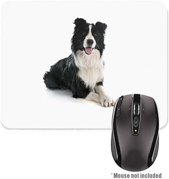 Amazon Com Black White Border Collie Image Design Rubber Mouse